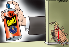TRUMP RAID by Steve Greenberg