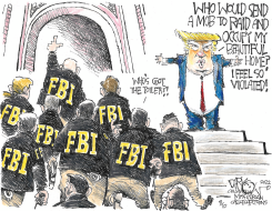 STOP THE STEAL by John Darkow