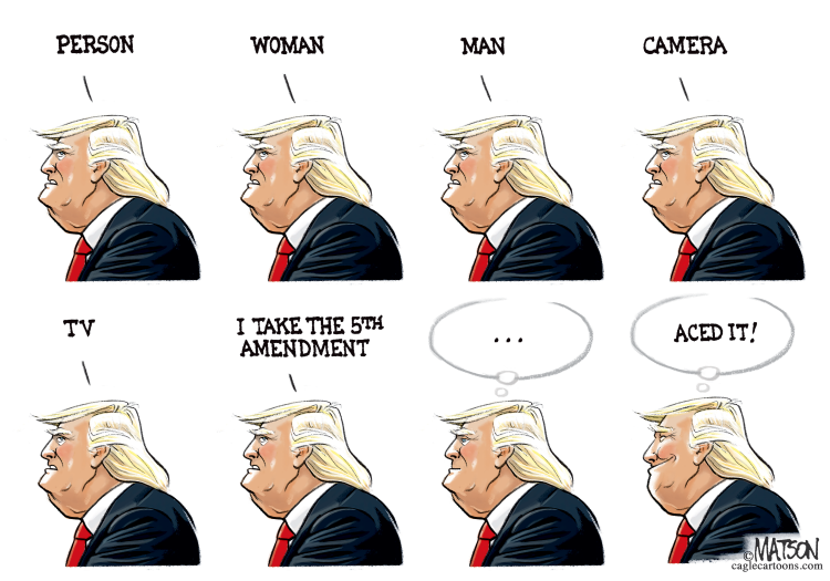 5th amendment political cartoon