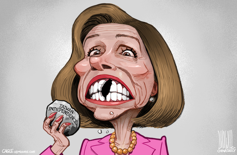 Pelosi's Taiwan visit self-humiliating