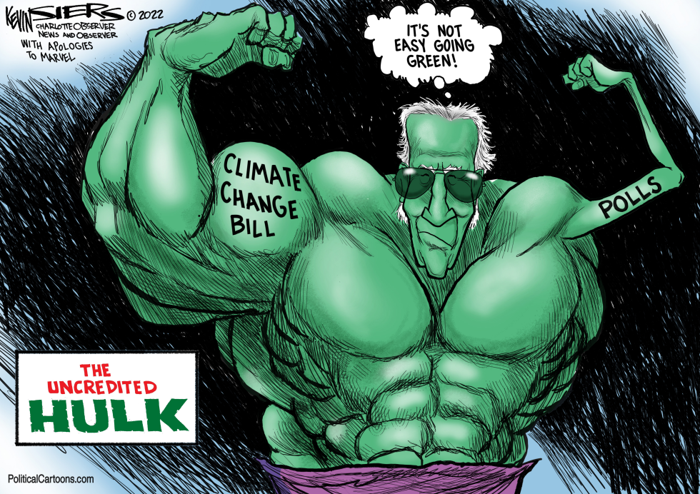 Biden's Wins and Biden's Polls
