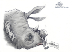 TRUMP TRUMPS CHENEY by Dick Wright