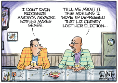 AMERICA GONE MAD by Christopher Weyant