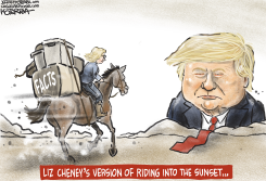 WHAT'S NEXT FOR LIZ CHENEY by Jeff Koterba
