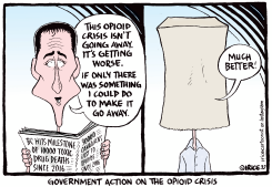 GOVERNMENT AN DTHE OPIOID CRISIS by Ingrid Rice