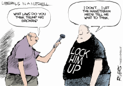 LIBERALS IN A NUTSHELL by Rivers