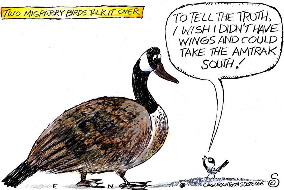 Migratory Birds