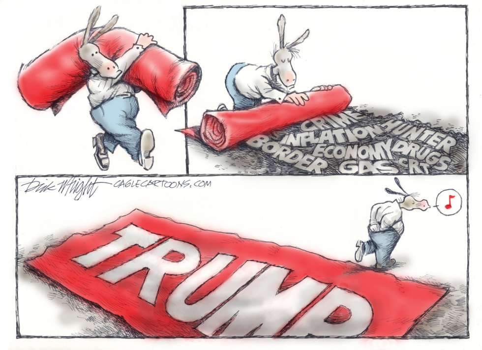 Democrat Cover-Up