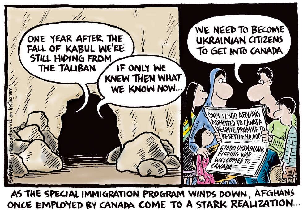 What AboutThe Afghans