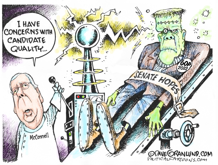 GOP candidate quality 2022
