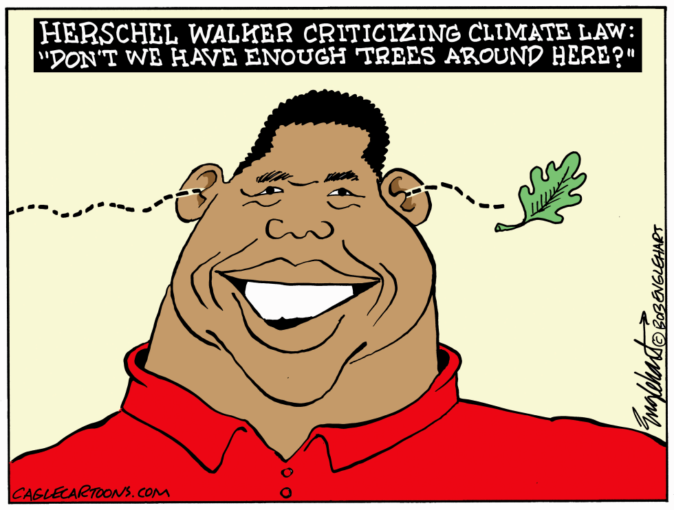 Senator Herschel Walker