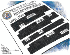 REDACTED AFFIDAVIT by John Darkow