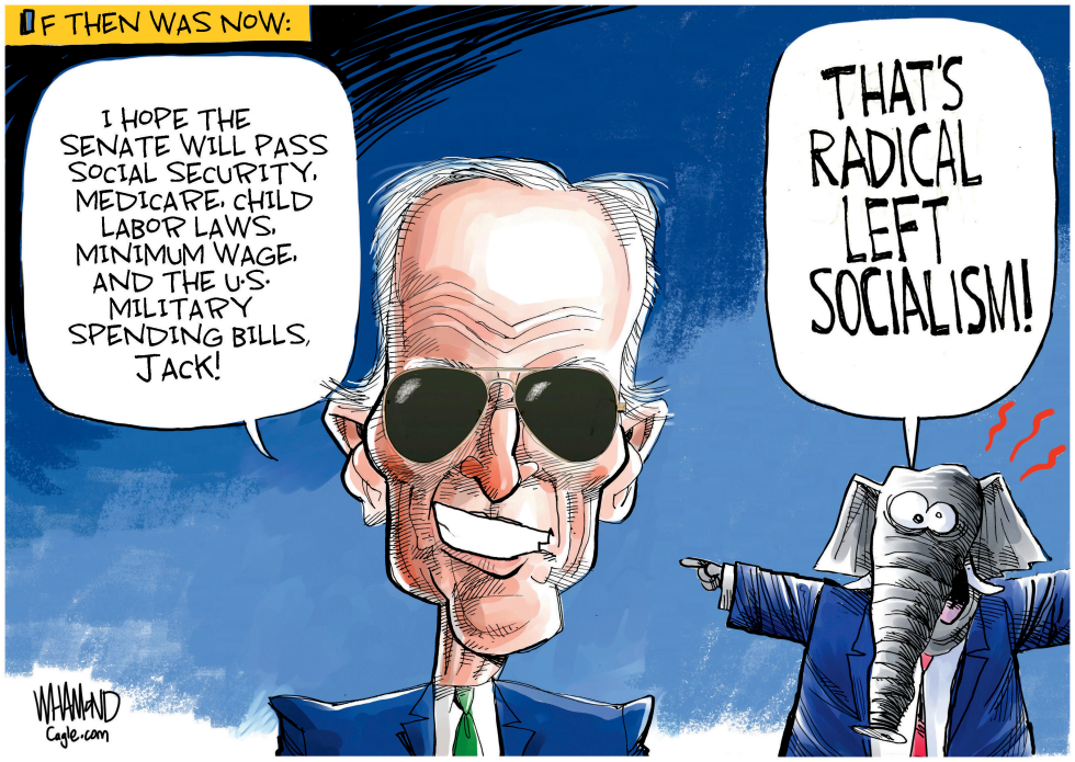 Radical left Socialism