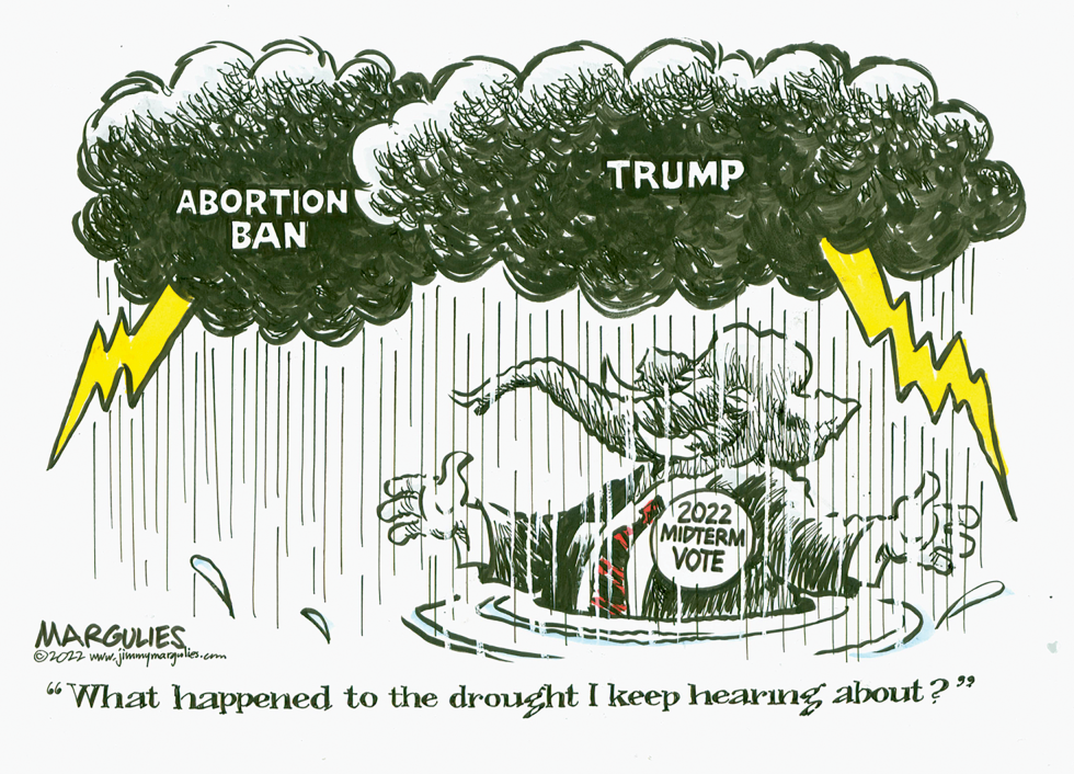 Republicans and 2022 Midterm election