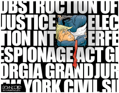 TRUMP TRAPPED by John Cole