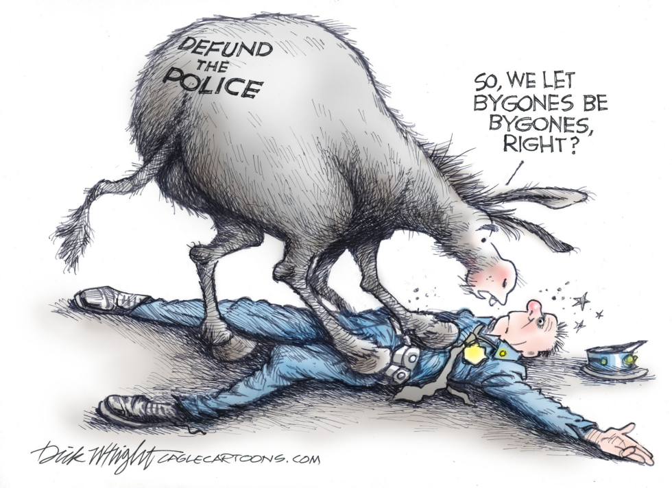 Democrat Defund The Police