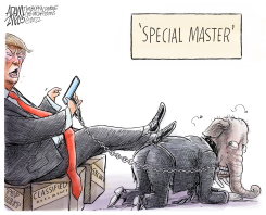 LEGAL DEFENSE by Adam Zyglis