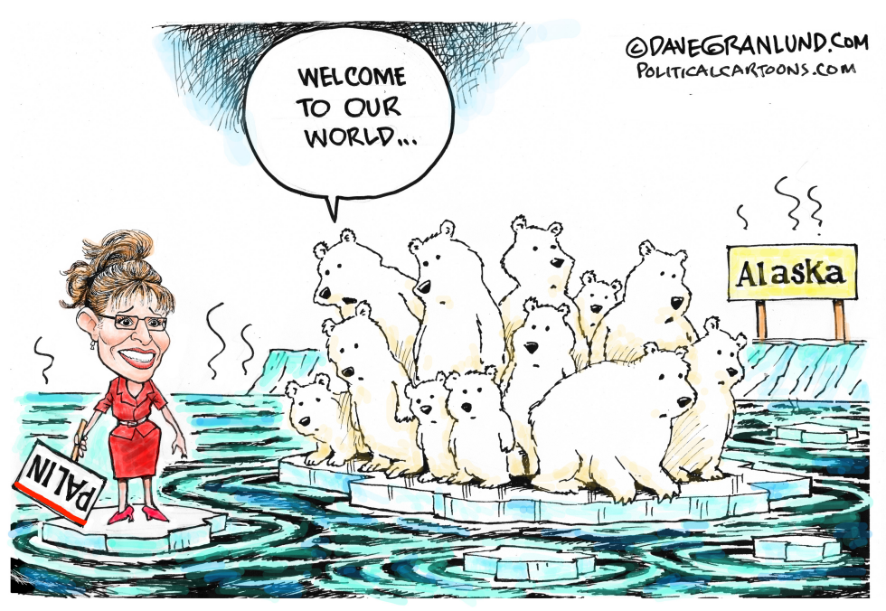 Palin loses special election
