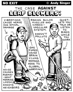 RAKE BETTER THAN LEAF BLOWER by Andy Singer