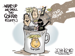 GEORGIA COFFEE COUNTY ELECTION FRAUD by John Cole