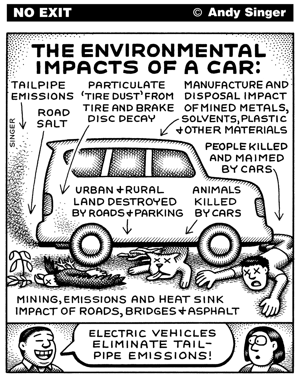 Environmental Impact of a Car