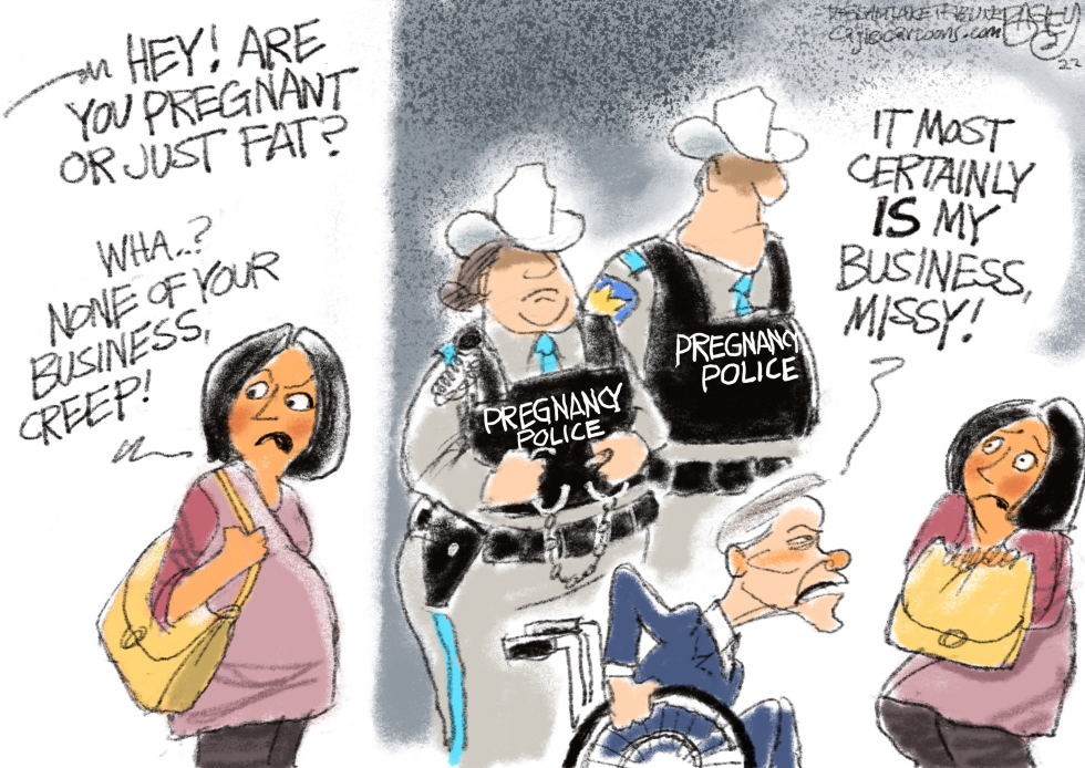 Fat or Pregnant?