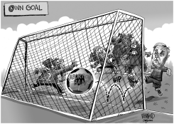 GRAHAM'S OWN GOAL by Dave Whamond