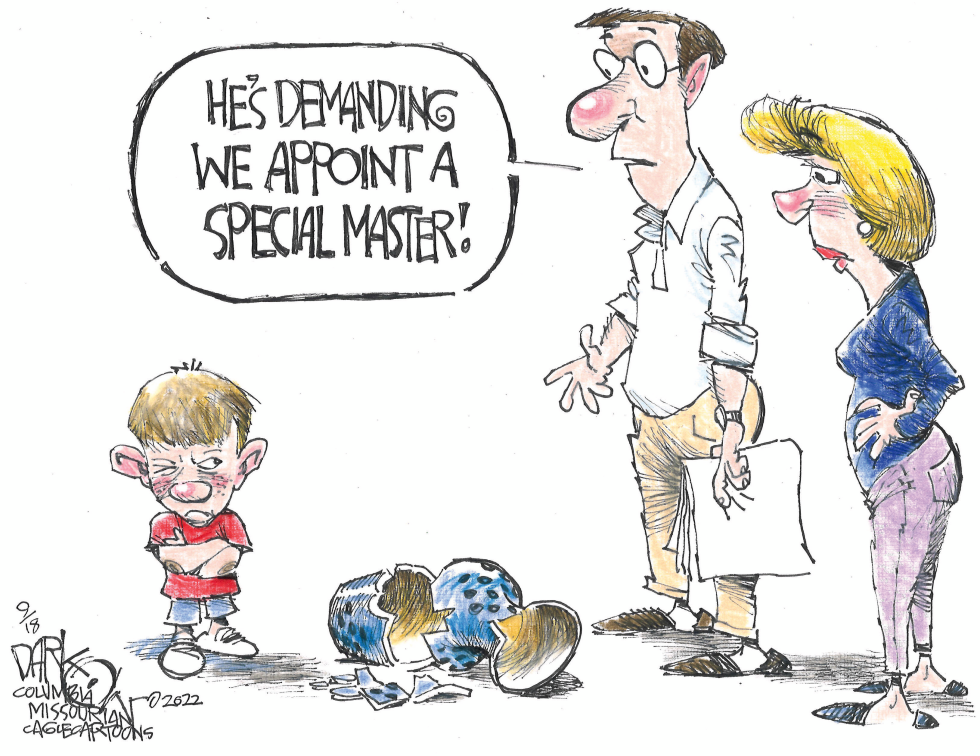Special master