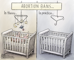THE COLD REALITY by Adam Zyglis