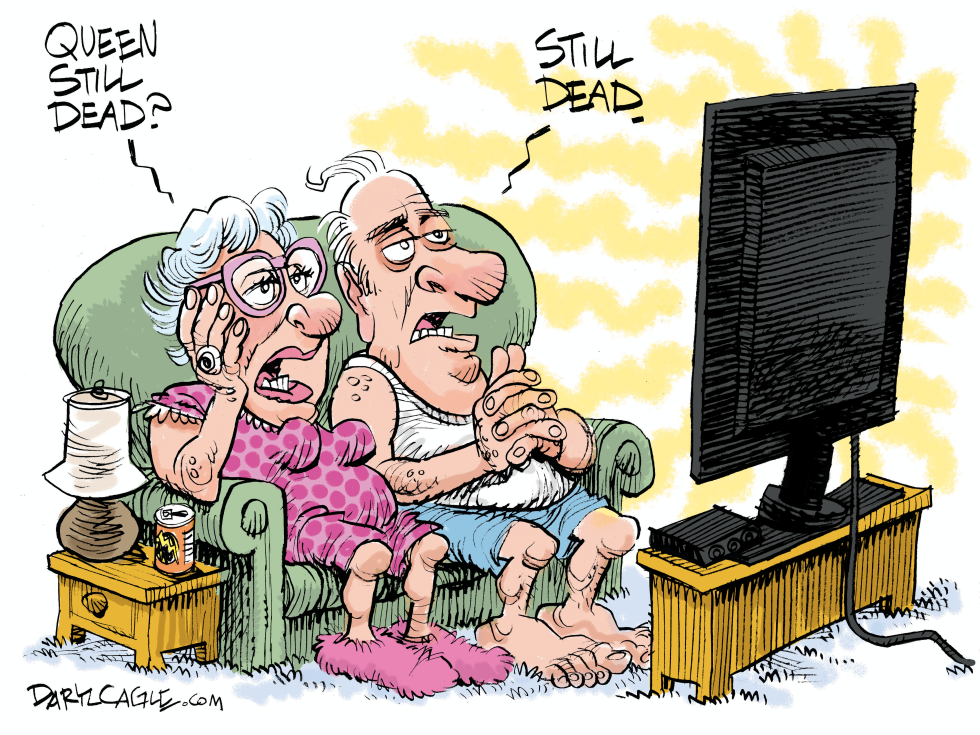 Too Much Queen on TV