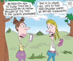 TIKTOK PROBLEM by Gary McCoy