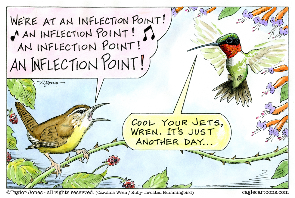 Inflection Point