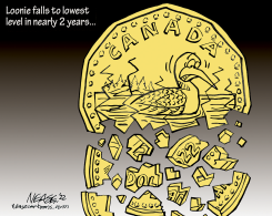 LOONIE by Steve Nease