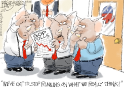 GOP IN DISARRAY by Pat Bagley