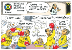 BOXBURG PRESS BRIEFING by Zapiro