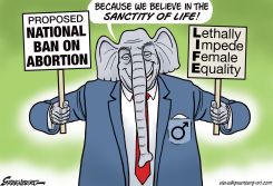 ABORTION BAN SANCTITY by Steve Greenberg