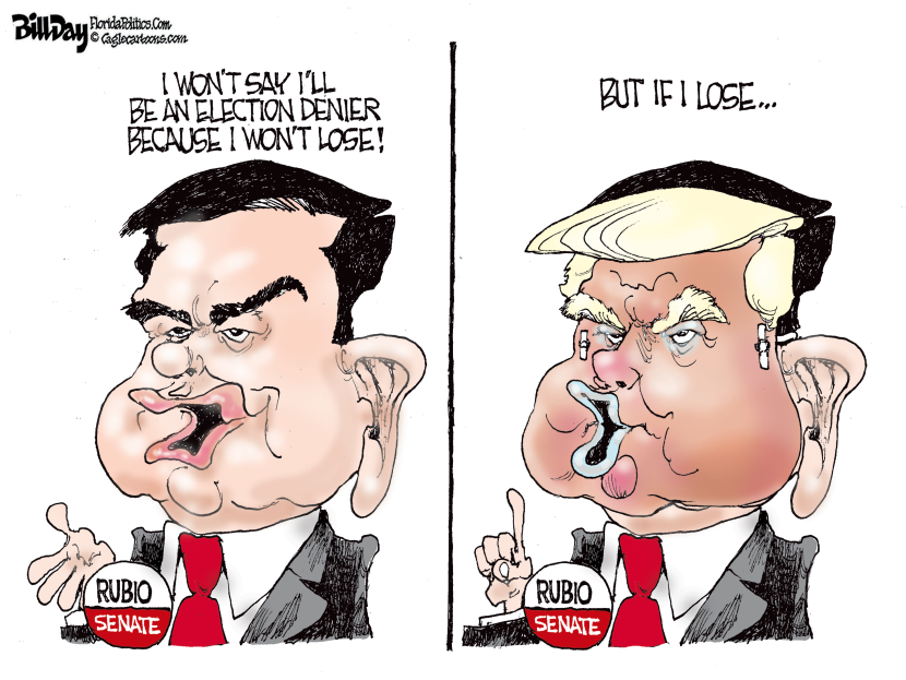 Loser Election Denier