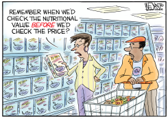 INFLATION CHECK by Christopher Weyant
