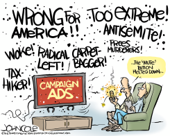 NATIONAL MUTING THE CAMPAIGN ADS by John Cole