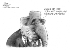 DEMOCRATS DON'T WANT BIDENS HELP by Dick Wright