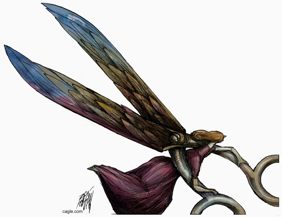 WOMAN'S WINGS