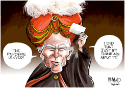 BIDEN THE MAGNIFICENT by Dave Whamond
