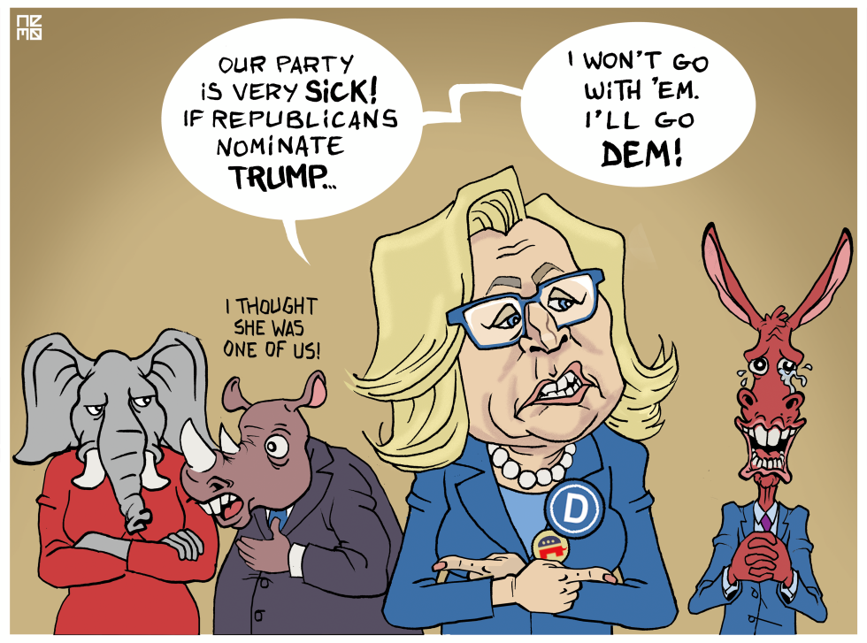 Dem Liz
