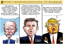 FLORIDA HURRICANE IAN RESPONSE by Dave Whamond