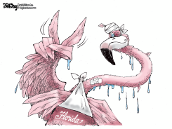 FLORIDA SURVIVES by Bill Day