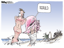 TIME TO REBUILD by Bill Day