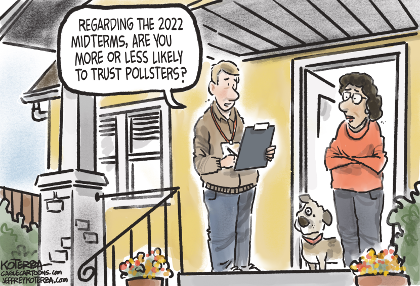 Trusting the Polls?