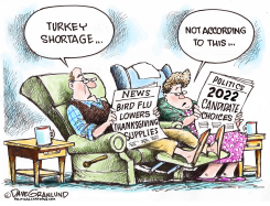 TURKEY SHORTAGE 2022 by Dave Granlund