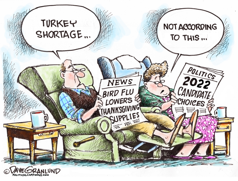 Turkey shortage 2022