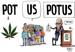 POTUS PARDONS POT by Dave Whamond